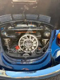 1969 Volkswagen BEETLE