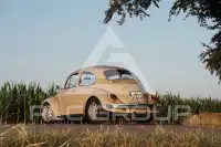 1969 Volkswagen BEETLE