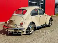 1969 Volkswagen BEETLE