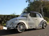 1969 Volkswagen BEETLE