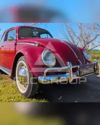 1969 Volkswagen BEETLE