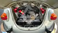 1970 Volkswagen BEETLE