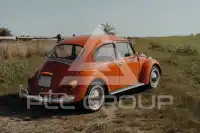 1970 Volkswagen BEETLE