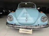 1971 Volkswagen Others