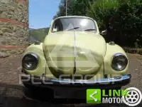 1971 Volkswagen Others