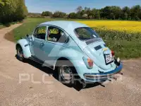 1971 Volkswagen BEETLE
