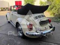 1971 Volkswagen BEETLE