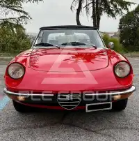 1972 Alfa Romeo Spider