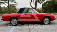 1972 Alfa Romeo Spider