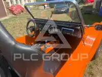 1972 Volkswagen Buggy