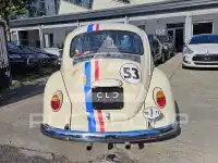 1972 Volkswagen 