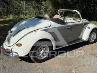 1972 Volkswagen BEETLE