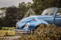 1972 Volkswagen 