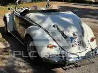 1972 Volkswagen BEETLE