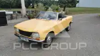 1973 Peugeot 304