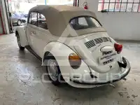1973 Volkswagen 