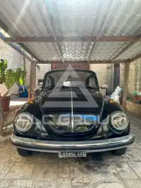 1973 Volkswagen 