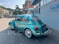 1973 Volkswagen 