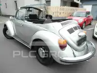 1973 Volkswagen 
