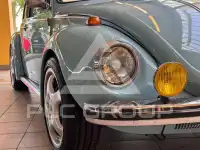 1973 Volkswagen 