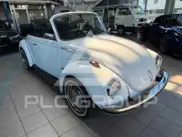 1973 Volkswagen 