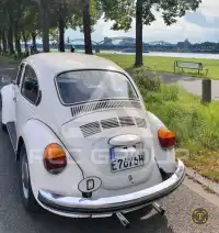 1973 Volkswagen 