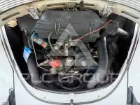 1973 Volkswagen 