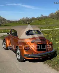 1974 Volkswagen BEETLE
