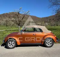 1974 Volkswagen BEETLE