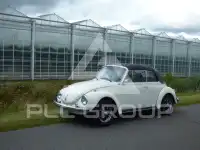 1974 Volkswagen BEETLE