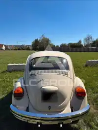 1975 Volkswagen Others