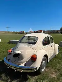 1975 Volkswagen Others