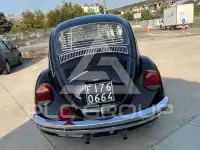 1975 Volkswagen Others