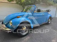 1975 Volkswagen BEETLE