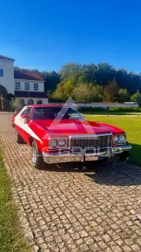 1976 Ford Other