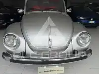 1976 Volkswagen Others