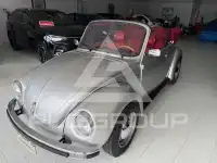 1976 Volkswagen Others