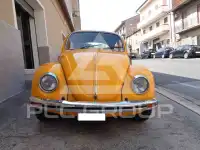 1976 Volkswagen Others