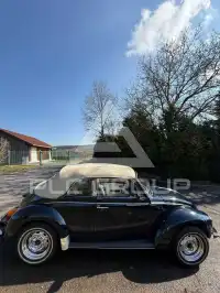 1976 Volkswagen BEETLE