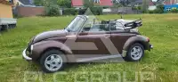 1976 Volkswagen BEETLE
