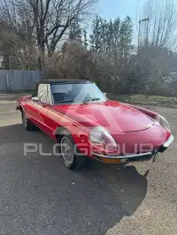 1977 Alfa Romeo Spider