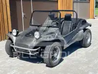 1977 Volkswagen Buggy