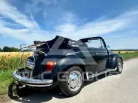 1977 Volkswagen BEETLE