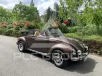 1977 Volkswagen 