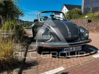 1977 Volkswagen BEETLE