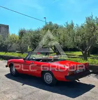 1978 Alfa Romeo Spider