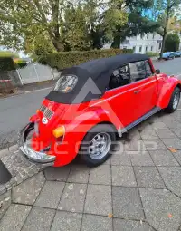 1978 Volkswagen Others