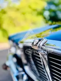 1979 Jaguar XJ