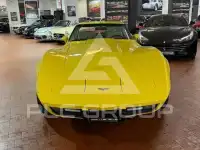 1979 Corvette Other