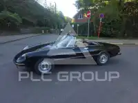 1979 Alfa Romeo Spider